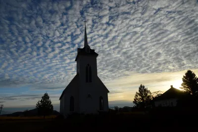 DSC_3106 (Large).JPG